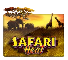 Joker123 : Safari Heat - BEERSLOT365