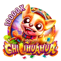 Facai : CHILIHUAHUA - BEERSLOT365